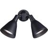 Progress Lighting 2-Light Adjustable Swivel Flood Light, Outdoor, P5203-31, Black