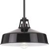 Progress Lighting Cedar Springs Collection 1-Light Black Metal Shade Farmhouse Outdoor Hanging Light Textured Black(Black)
