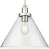 Progress Lighting P500384-009 Hinton Collection 16 in. One-Light Brushed Nickel Pendant with Clear Seeded Glass Shade