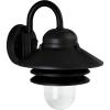 Progress Lighting P5645-30 Single-Light Plastic Outdoor Wall Lantern with Prismatic Acrylic Shade, White(Black)