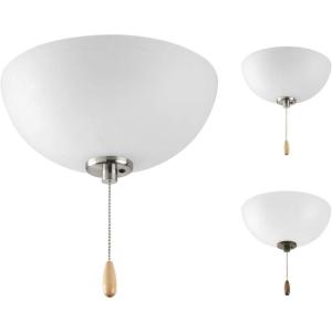 Progress Lighting 2-Light Ceiling Fan Light, Bravo Collection, Indoor, P2650-01WB, Antique Bronze, Brushed Nickel(Unfinished)