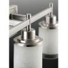 Progress Lighting Alexa Collection 3-Light Etched Umber Linen with Clear Edge Glass Modern Bath Vanity Light Antique Bronze(Brushed Nickel)
