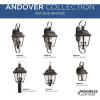 Progress Lighting Andover Collection 2-Light Clear Beveled Glass Farmhouse Outdoor Medium Wall Lantern Light Antique Bronze(3-Light)