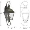 Progress Lighting Andover Collection 2-Light Clear Beveled Glass Farmhouse Outdoor Medium Wall Lantern Light Antique Bronze(3-Light)