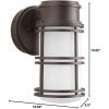 Progress Lighting Bell LED Collection 1-Light Etched Glass Craftsman Outdoor Wall Lantern Light Textured Graphite(Bronze)