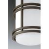 Progress Lighting Bell LED Collection 1-Light Etched Glass Craftsman Outdoor Wall Lantern Light Textured Graphite(Bronze)