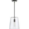 Progress Lighting Clarion Collection 1-Light Clear Glass Coastal Pendant Light Polished Nickel(Nickel)