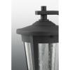 Progress Lighting East Haven LED Collection 1-Light Clear Seeded Glass Transitional Outdoor Large Wall Lantern Light Textured Black(Black)
