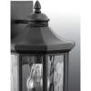 Progress Lighting Edition Collection 1-Light Water Glass Traditional Outdoor Large Wall Lantern Light Antique Bronze(Bronze)