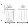 Progress Lighting Edition Collection 1-Light Water Glass Traditional Outdoor Large Wall Lantern Light Antique Bronze(Bronze)