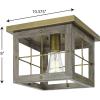 Progress Lighting Hedgerow Collection 1-Light Aged Oak Farmhouse Flush Mount Ceiling Light