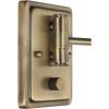 Progress Lighting Hinton Collection Vintage Brass Swing Arm Wall Light(Brass)