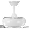 Progress Lighting P250016-030 Protruding Mount, 5 White/Driftwood Blades Ceiling fan, White