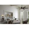 Progress Lighting P2586-7130K Protruding Mount, 6 Toasted Oak/Driftwood Blades Ceiling Fan with 18 Watts Light, Black