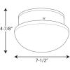 Progress Lighting P3408-09 1-Light Close-To-Ceiling Fixture, Brushed Nickel(Nickel)