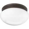 Progress Lighting P3412-20 2-Lt. Close-to-Ceiling