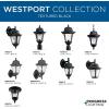 Progress Lighting P5862-31 1-Light Cast Wall Lantern with Clear Seeded Glass, Textured Black(Textured Black)