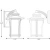 Progress Lighting Pedigree Collection 1-Light Etched Seeded Glass Craftsman Outdoor Large Wall Lantern Light Autumn Haze