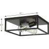 Progress Lighting Perimeter Collection 2-Light Matte Black Modern Flush Mount Ceiling Light(Black)