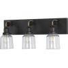 Progress Lighting Rushton Collection 1-Light Clear Glass Farmhouse Bath Vanity Light Graphite, Black(Graphite)