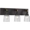 Progress Lighting Rushton Collection 1-Light Clear Glass Farmhouse Bath Vanity Light Graphite, Black(Graphite)