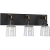 Progress Lighting Rushton Collection 1-Light Clear Glass Farmhouse Bath Vanity Light Graphite, Black(Graphite)