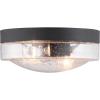 Progress Lighting Weldon Collection 2-Light Clear Seeded Glass Farmhouse Outdoor Ceiling Flush Mount Light Textured Black(Black)