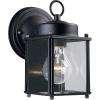 Progress Lighting 1-Light Clear Flat Glass Traditional Outdoor Wall Lantern Light Antique Bronze(Black)