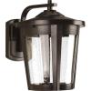 Progress Lighting East Haven LED Collection 1-Light Clear Seeded Glass Transitional Outdoor Large Wall Lantern Light Textured Black(Bronze)