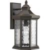 Progress Lighting Edition Collection 1-Light Water Glass Traditional Outdoor Large Wall Lantern Light Antique Bronze(Bronze)
