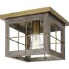 Progress Lighting Hedgerow Collection 1-Light Aged Oak Farmhouse Flush Mount Ceiling Light