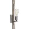 Progress Lighting Hemsworth Collection One-Light Bleached Oak Wall Bracket(Gray)