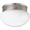 Progress Lighting P3408-09 1-Light Close-To-Ceiling Fixture, Brushed Nickel(Nickel)