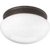 Progress Lighting P3412-20 2-Lt. Close-to-Ceiling