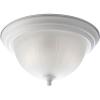 Progress Lighting P3817-09 2-Light Close-To-Ceiling with Etched Ribbed Glass, Brushed Nickel(White)