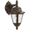 Progress Lighting P5862-31 1-Light Cast Wall Lantern with Clear Seeded Glass, Textured Black(Antique Bronze)