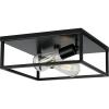 Progress Lighting Perimeter Collection 2-Light Matte Black Modern Flush Mount Ceiling Light(Black)