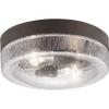 Progress Lighting Weldon Collection 2-Light Clear Seeded Glass Farmhouse Outdoor Ceiling Flush Mount Light Architectural Bronze, 4.50×10.75×10.75