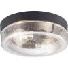 Progress Lighting Weldon Collection 2-Light Clear Seeded Glass Farmhouse Outdoor Ceiling Flush Mount Light Textured Black(Black)