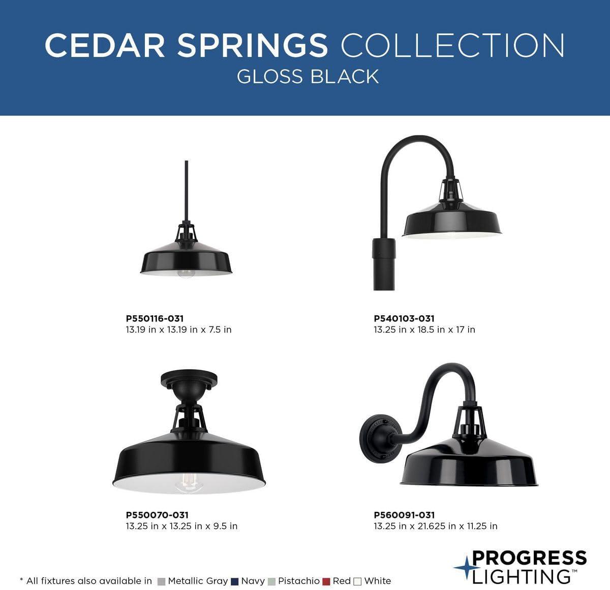 image:imageProgress Lighting Cedar Springs Collection 1Light Farmhouse Outdoor SemiFlush Mount Light NavyBlack