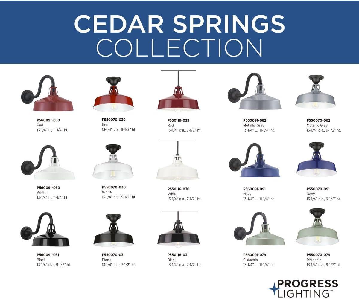 image:imageProgress Lighting Cedar Springs Collection 1Light Farmhouse Outdoor SemiFlush Mount Light NavyBlack