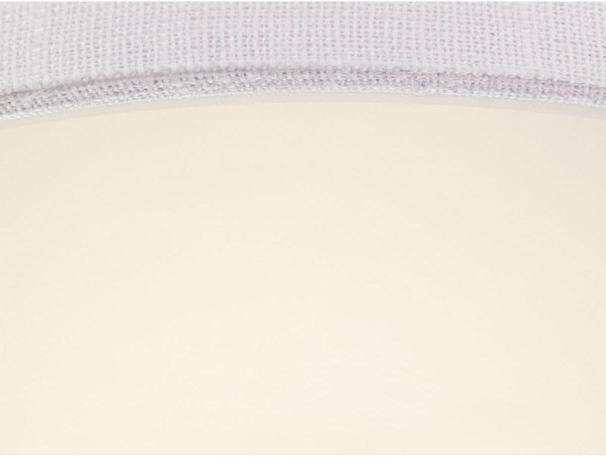image:imageProgress Lighting Inspire LED Collection OneLight LED Flush Mount Graphite 600x1300x1300