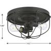 Medal Collection 2-Light Graphite Industrial Flush Mount Ceiling Light