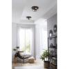 Medal Collection 2-Light Graphite Industrial Flush Mount Ceiling Light