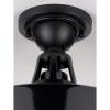 Progress Lighting Cedar Springs Collection 1-Light Farmhouse Outdoor Semi-Flush Mount Light Navy(Black)