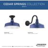 Progress Lighting Cedar Springs Collection 1-Light Farmhouse Outdoor Semi-Flush Mount Light Navy(Blue)