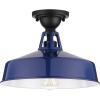 Progress Lighting Cedar Springs Collection 1-Light Farmhouse Outdoor Semi-Flush Mount Light Navy(Blue)