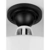 Progress Lighting Cedar Springs Collection 1-Light Farmhouse Outdoor Semi-Flush Mount Light Navy(White)
