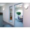 Progress Lighting Eclipse Collection Three-Light 19-3/8” Close-to-Ceiling