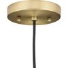 Progress Lighting Hinton Collection One-Light Vintage Brass Modern Farmhouse Pendant (P500383-163)